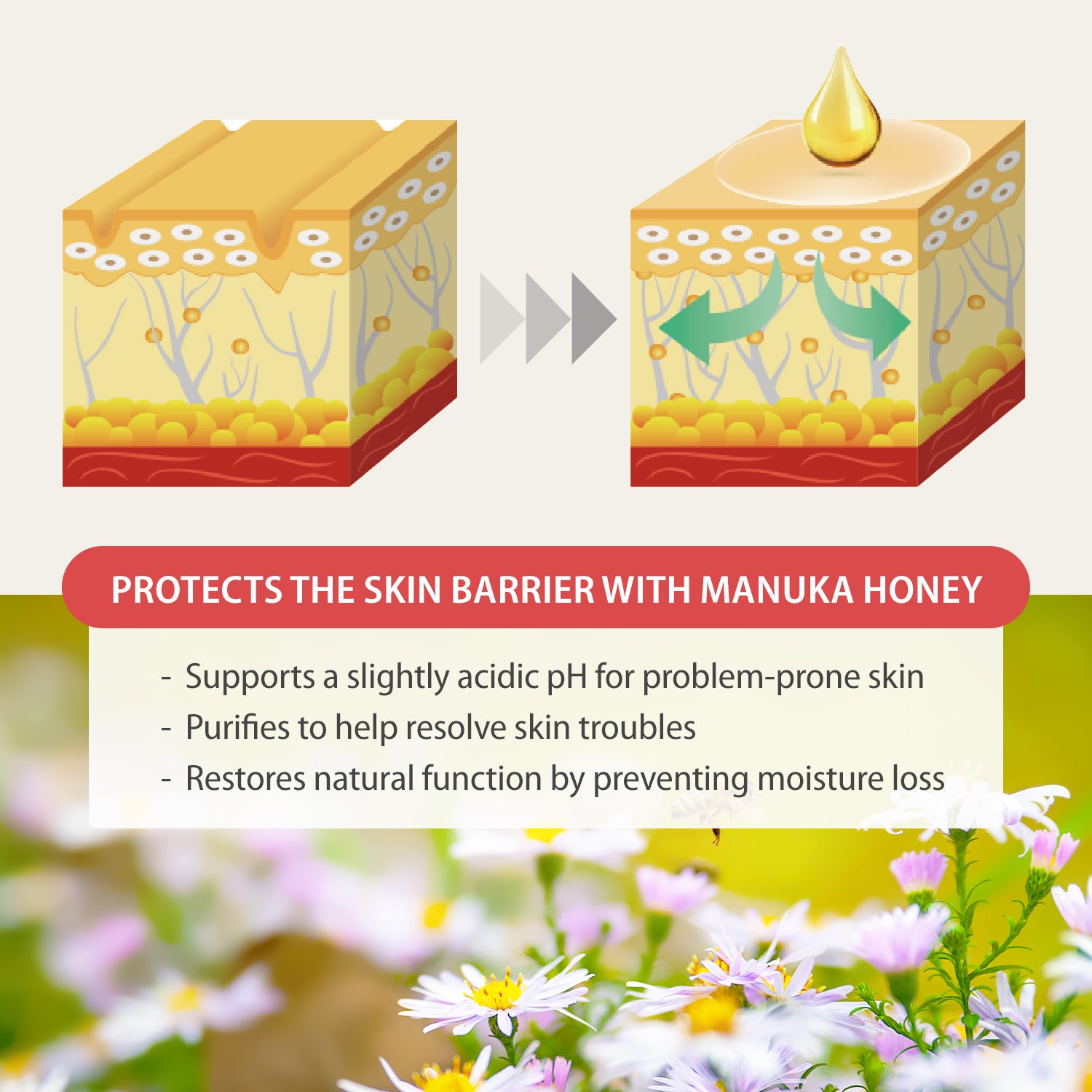 MANUKA HONEY SERUM