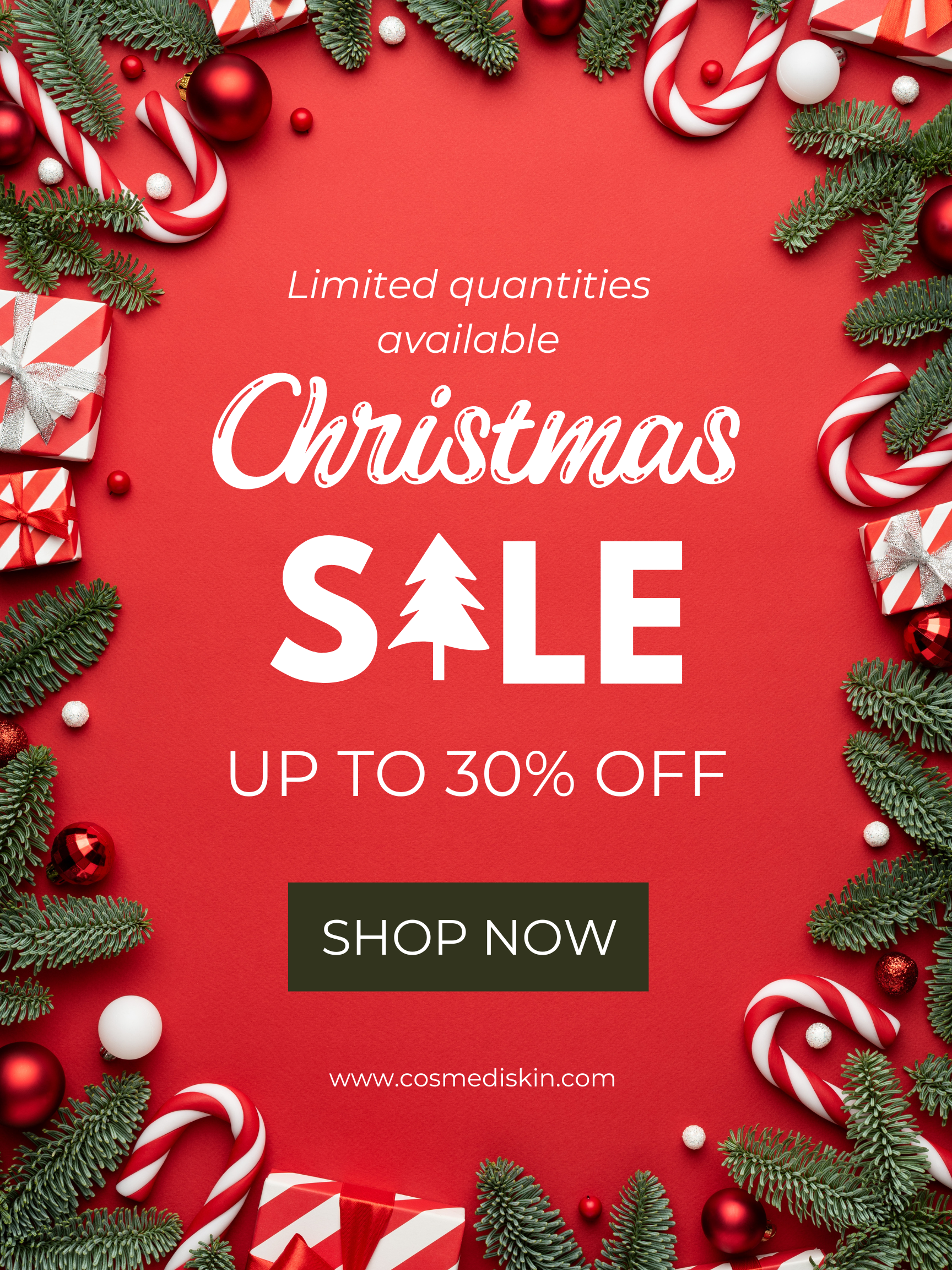 Christmas BIG Promotion Sale!