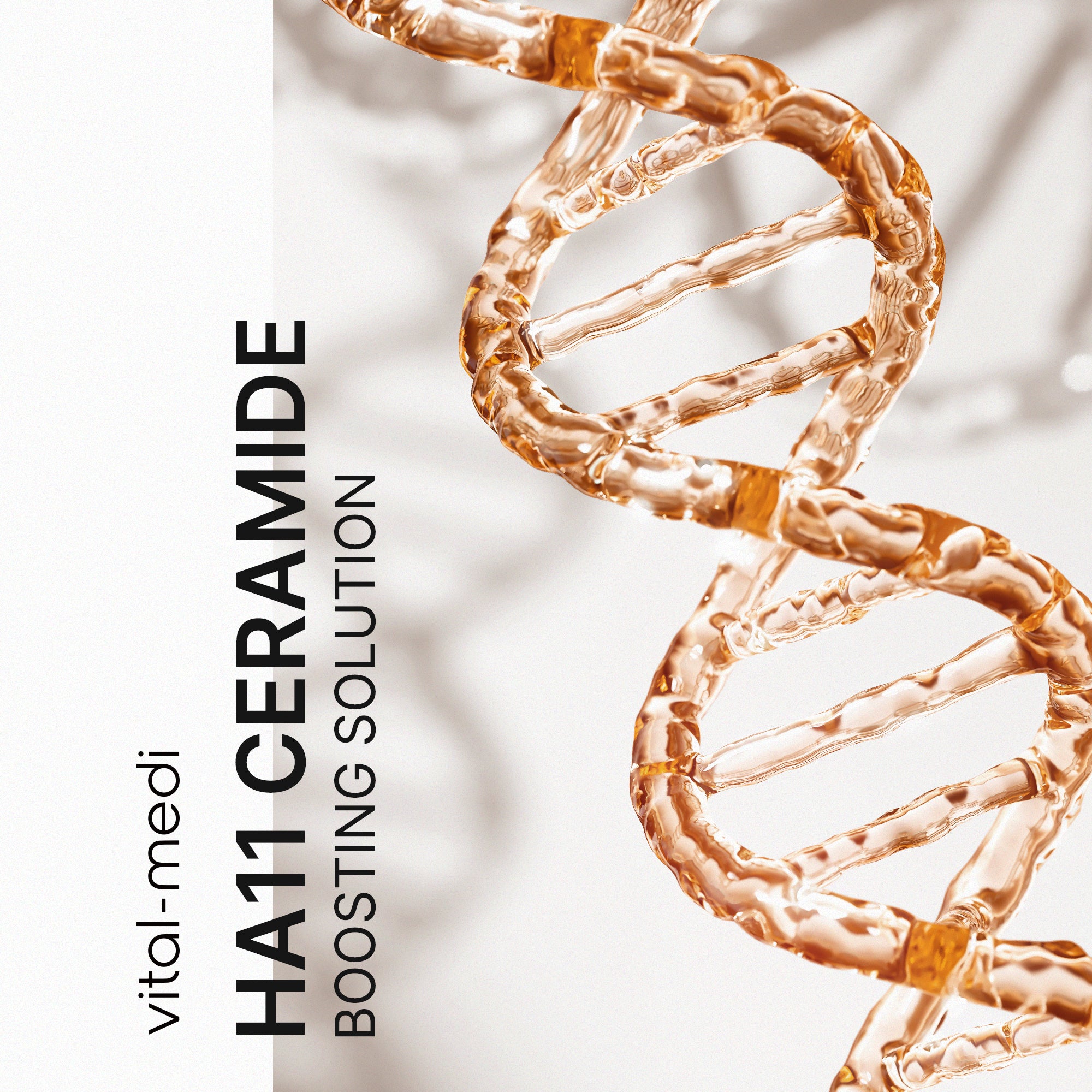 HA11 Ceramide Boosting Solution