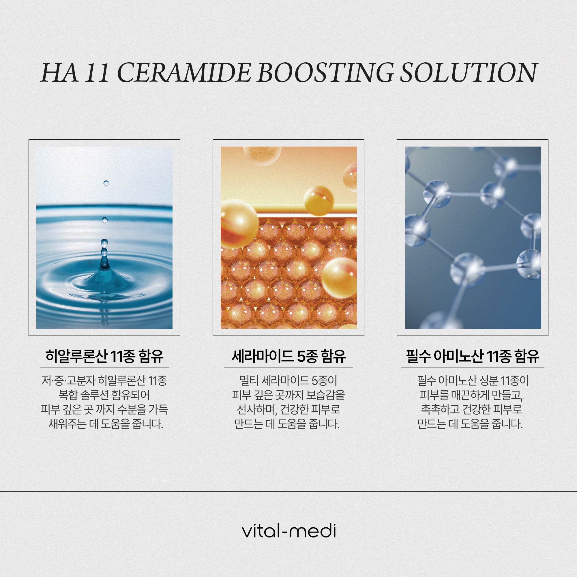 HA11 Ceramide Boosting Solution